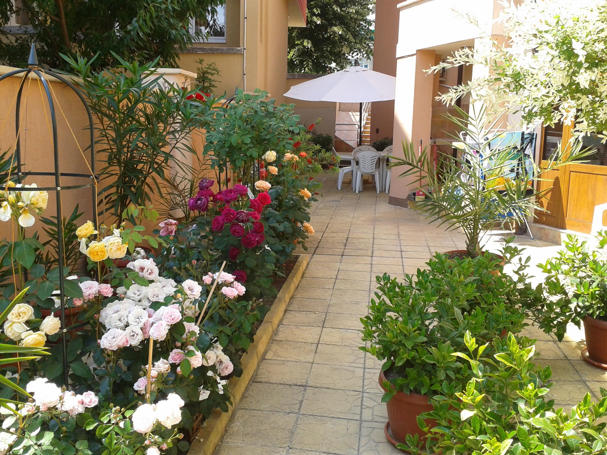 Hotel Chuchulev سوزوبول المظهر الخارجي الصورة