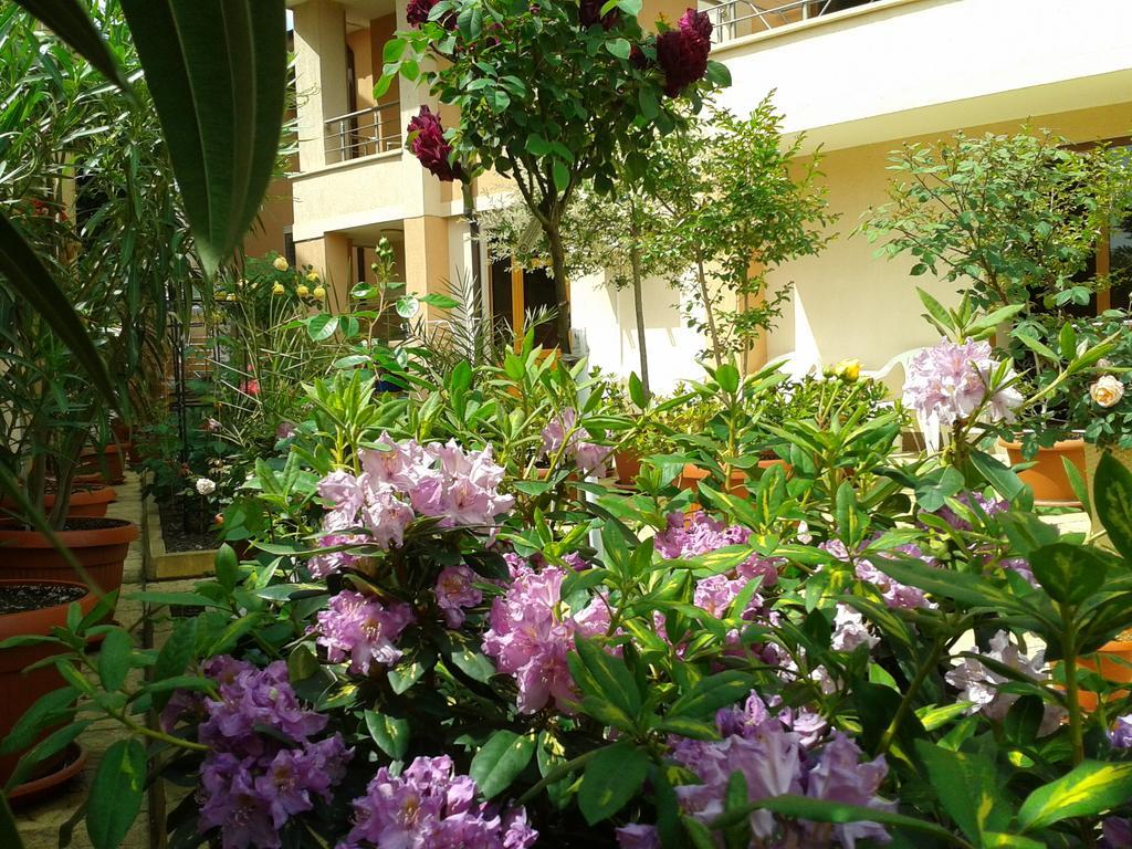 Hotel Chuchulev سوزوبول المظهر الخارجي الصورة