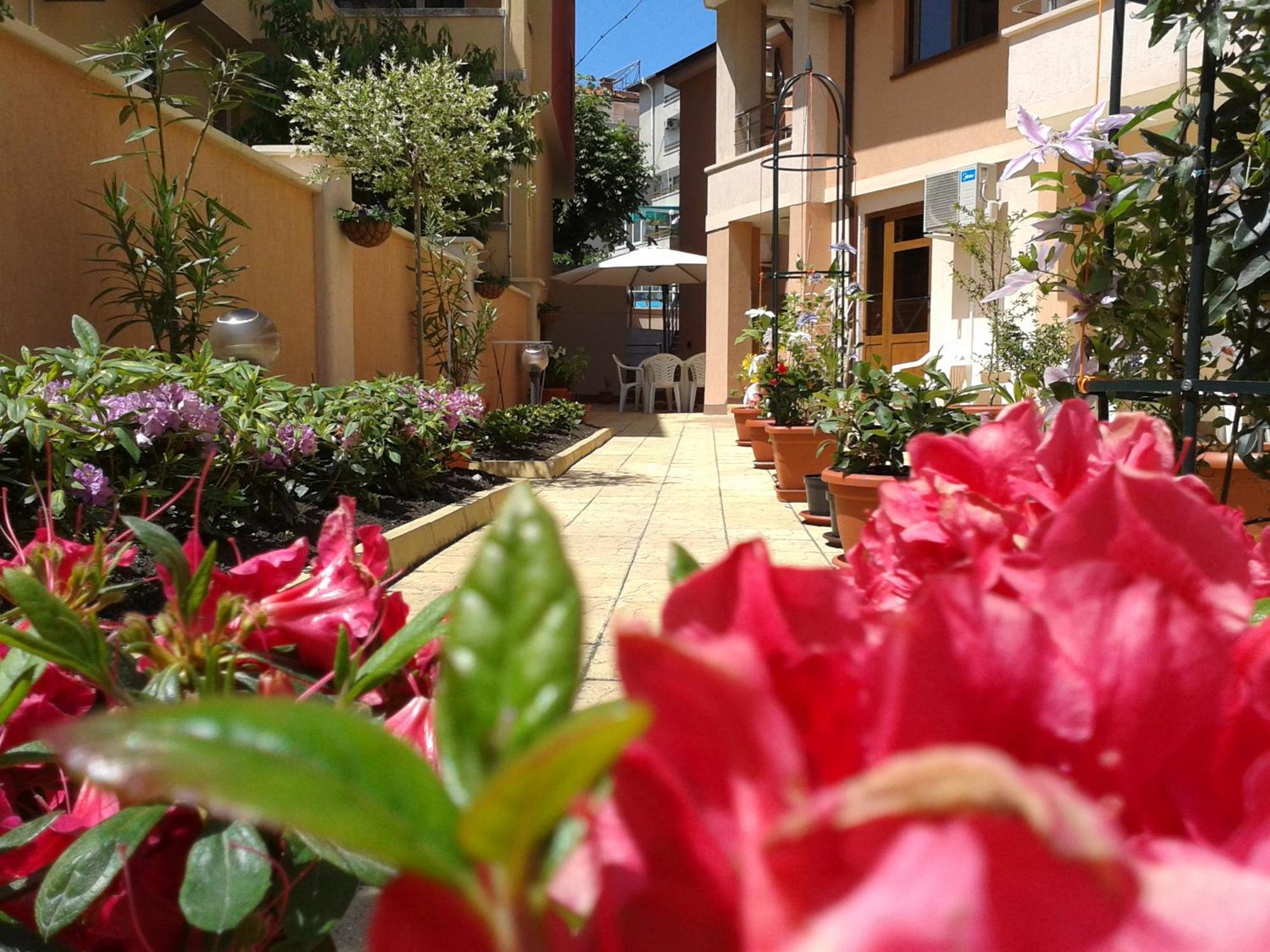 Hotel Chuchulev سوزوبول المظهر الخارجي الصورة