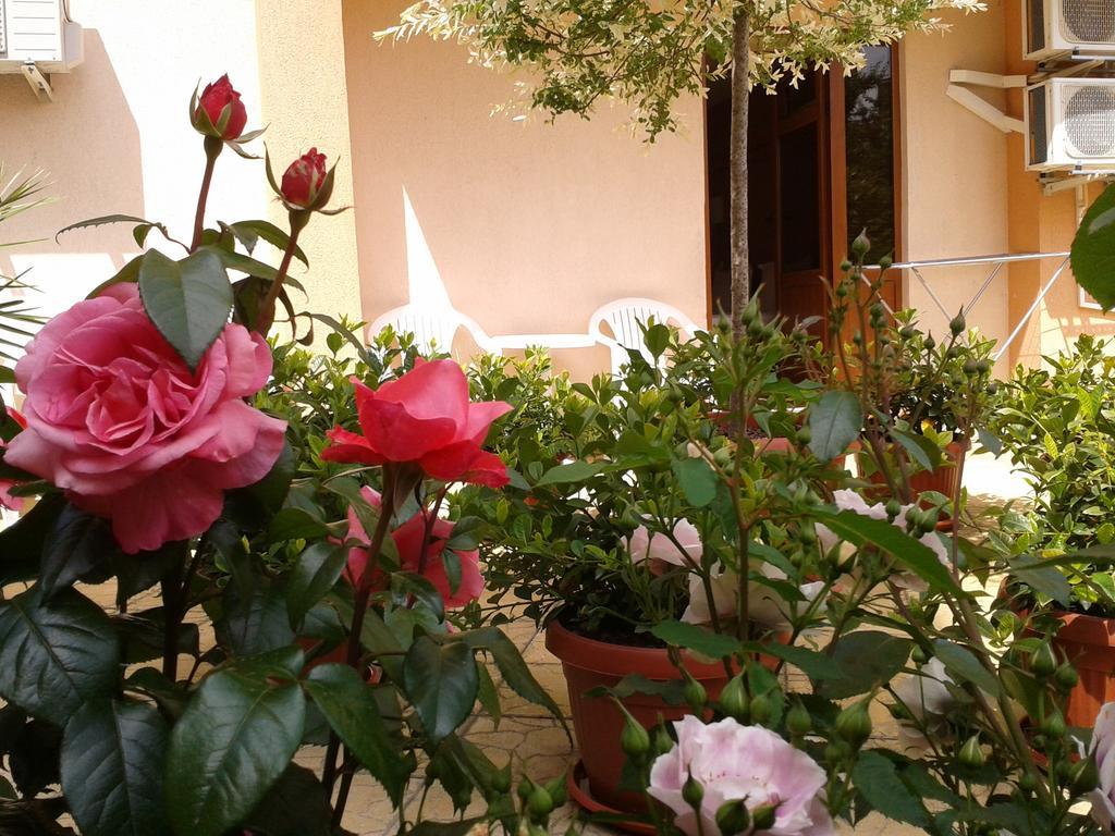 Hotel Chuchulev سوزوبول المظهر الخارجي الصورة