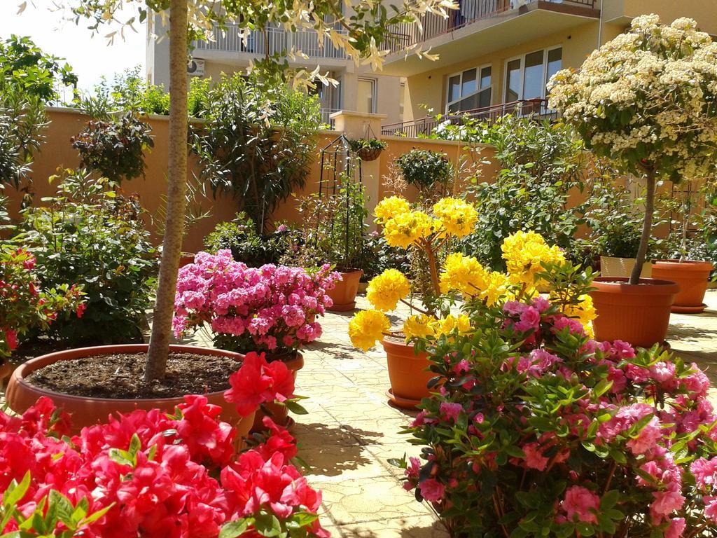 Hotel Chuchulev سوزوبول المظهر الخارجي الصورة