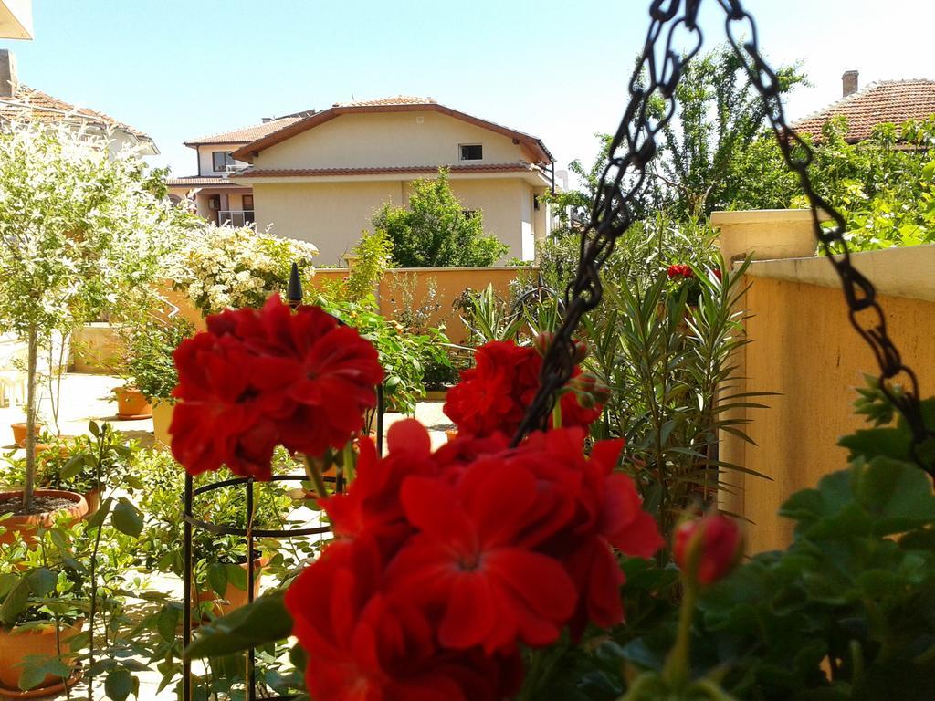 Hotel Chuchulev سوزوبول المظهر الخارجي الصورة