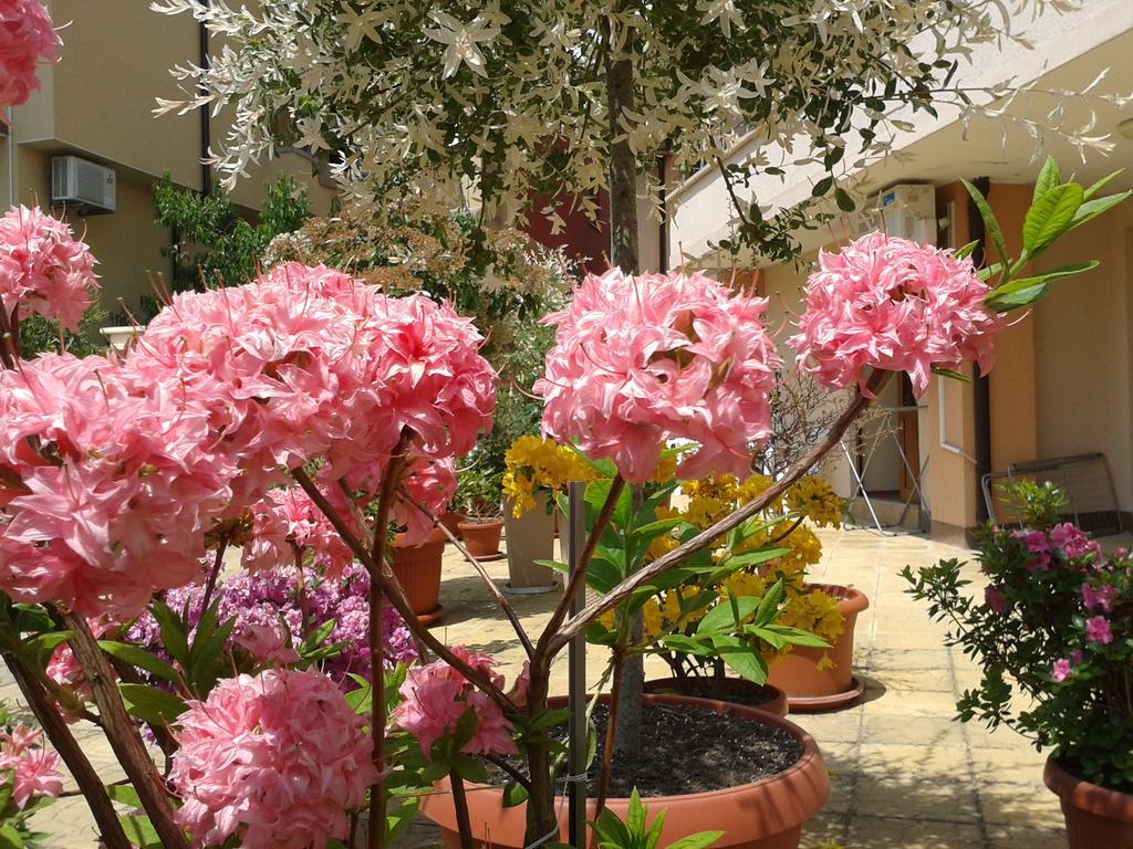 Hotel Chuchulev سوزوبول المظهر الخارجي الصورة